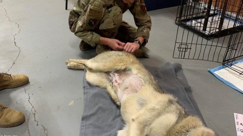 21 Essential Tips to Improve Your Health Care